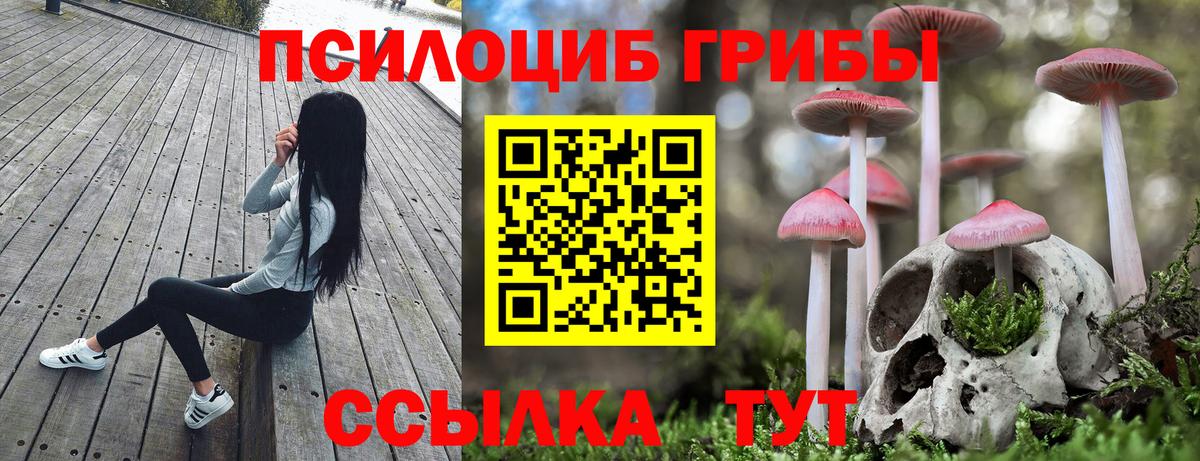 Псилоцибиновые грибы GOLDEN TEACHER  Галлюциногенные грибы мухоморы  Муравленко  Вход с VPN 